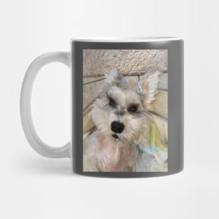 FLYING SCHNAUZER Mug